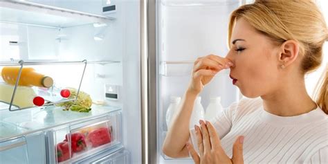 Get Rid of Pesky Fridge Odors in Minutes with a Magical Aroma Eliminator